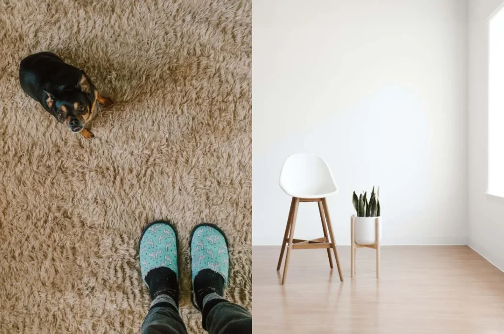 Carpet Flooring Types & Factors To Consider While Selecting