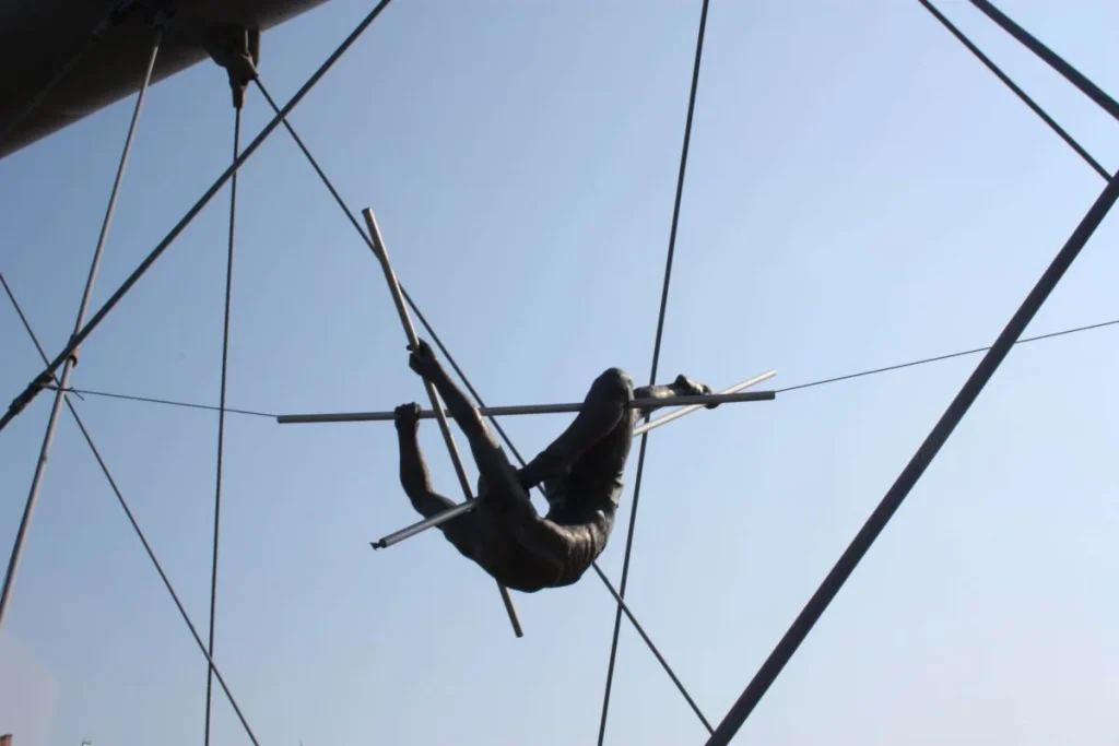 photo of trapeze flying