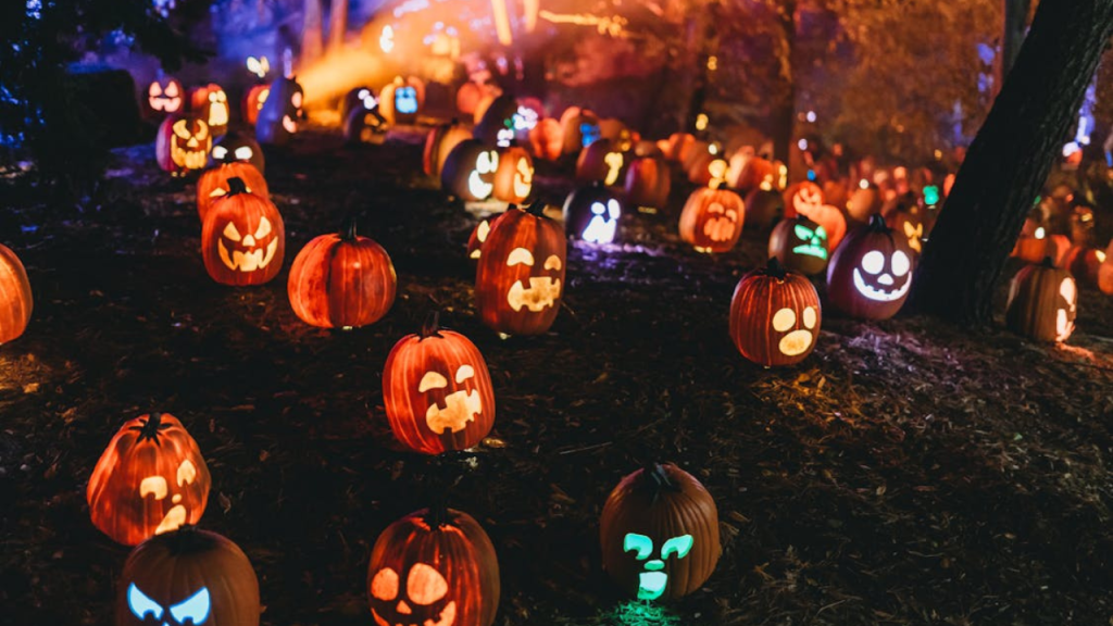 Free Illuminated Pumpkin Lanterns on a Field Stock Photo